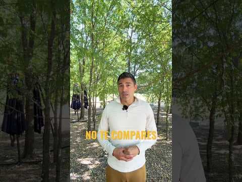 Comparación es el ladrón del gozo (no lo hagas)