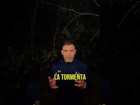 El águila vuela hacia la tormenta (no para escapar de ella) #desarrollopersonal #reflexion #consejos